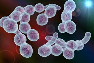 veroorzaker van bacteriële prostatitis bij mannen